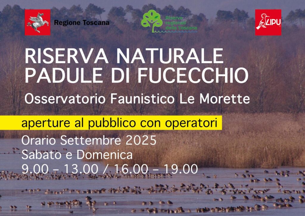 Osservatorio Riserva Padule di Fucecchio Settembre 2025