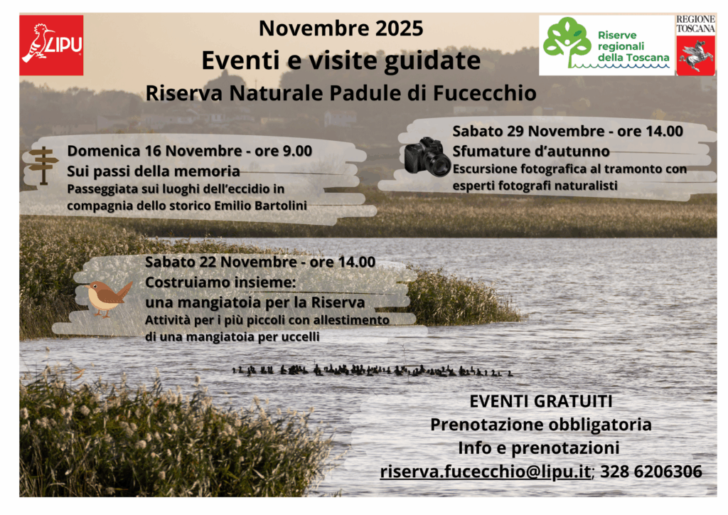Eventi e visite novembre 2025