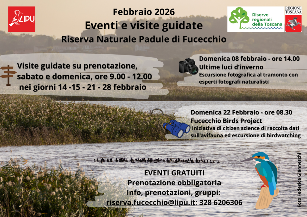 Eventi e visite febbraio 2026