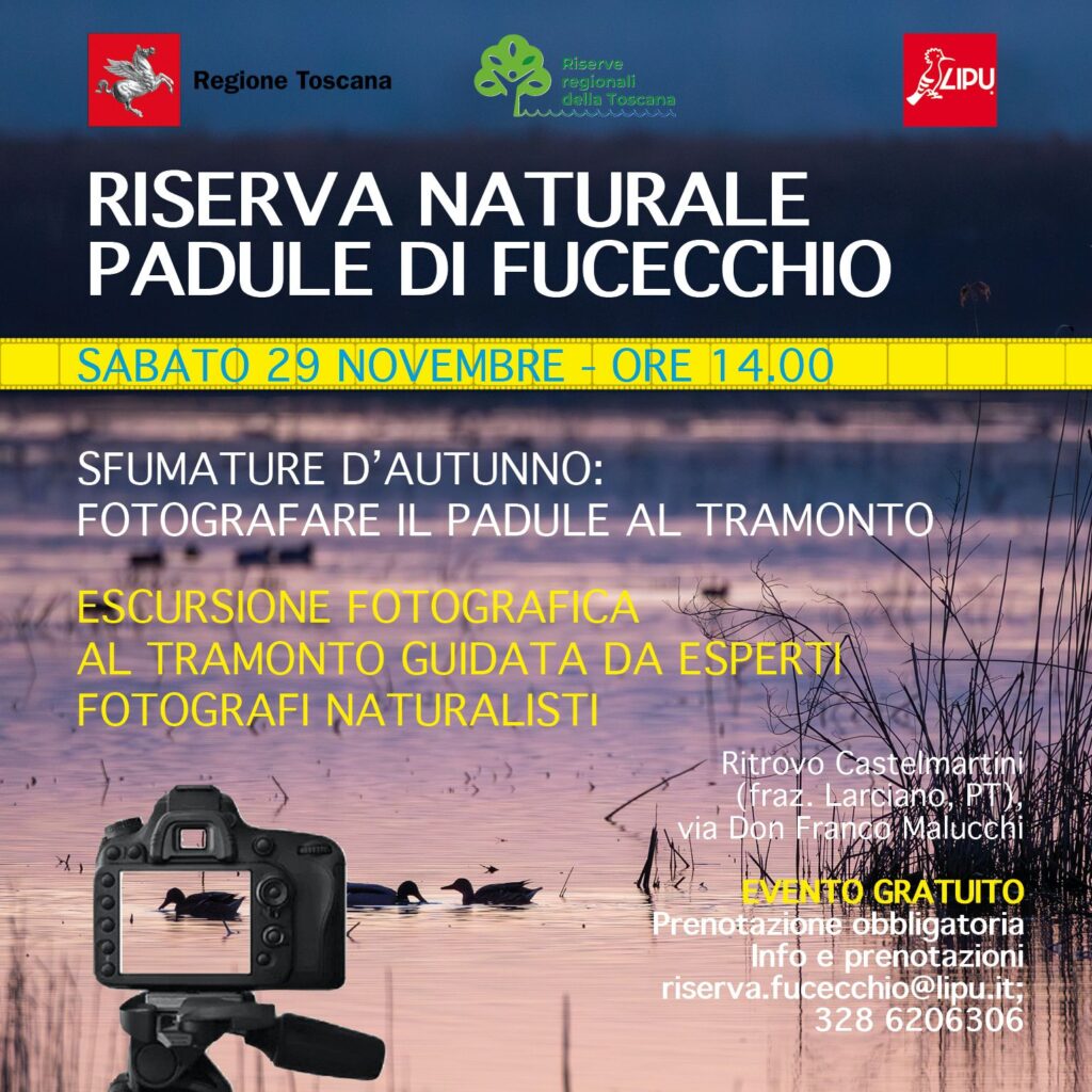 Sfumature d’autunno: fotografare il padule al tramonto – 29 novembre