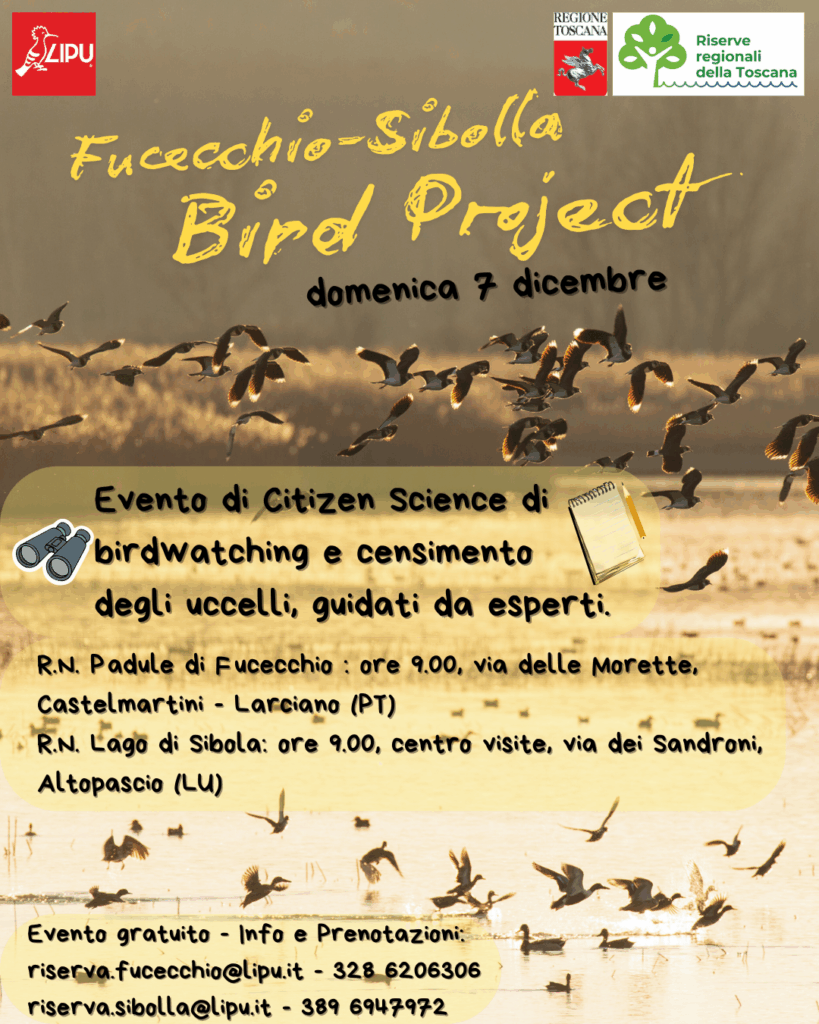 Fucecchio-Sibolla Bird Project