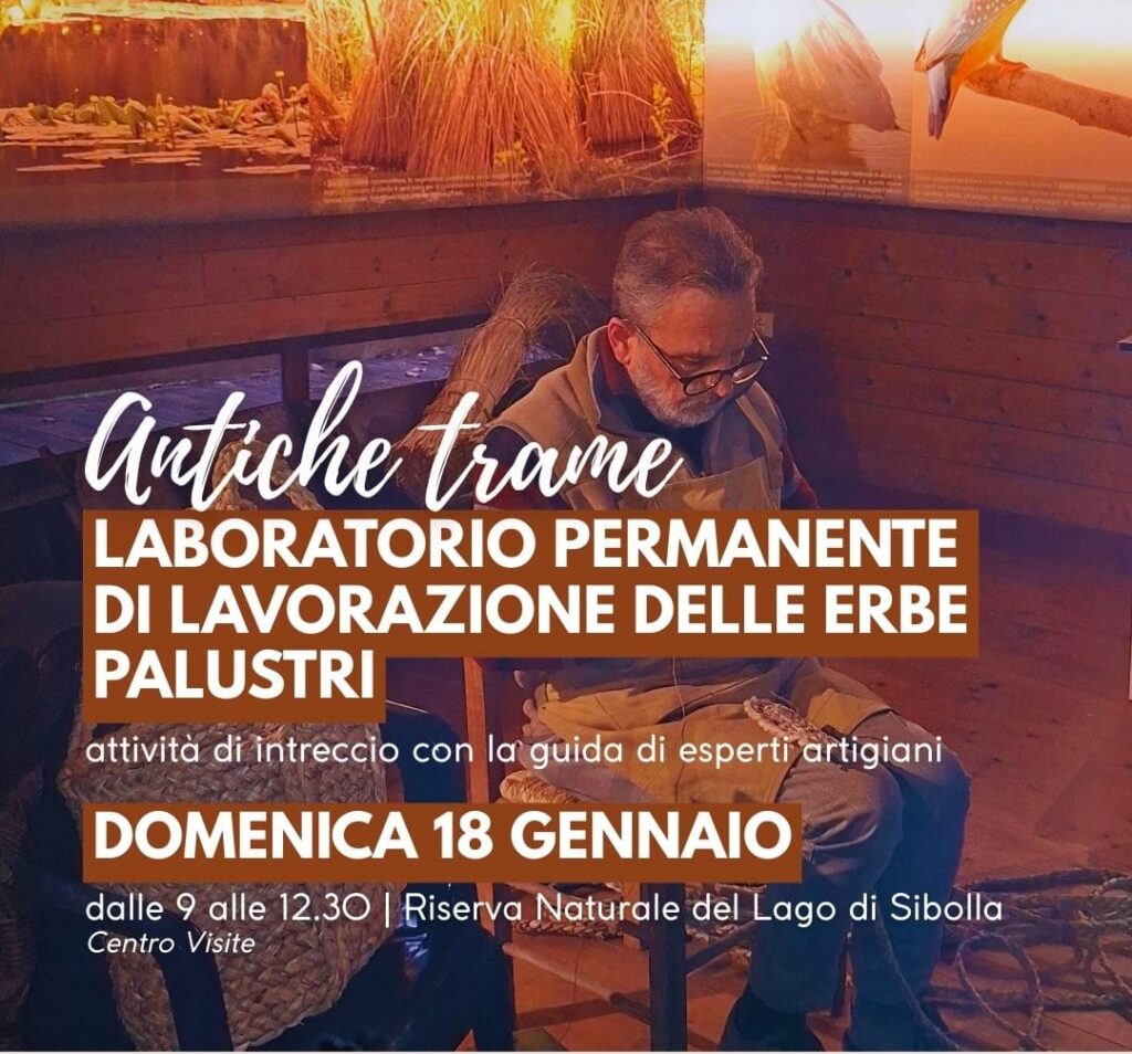 Antiche trame: laboratorio permanente di lavorazione delle erbe palustri