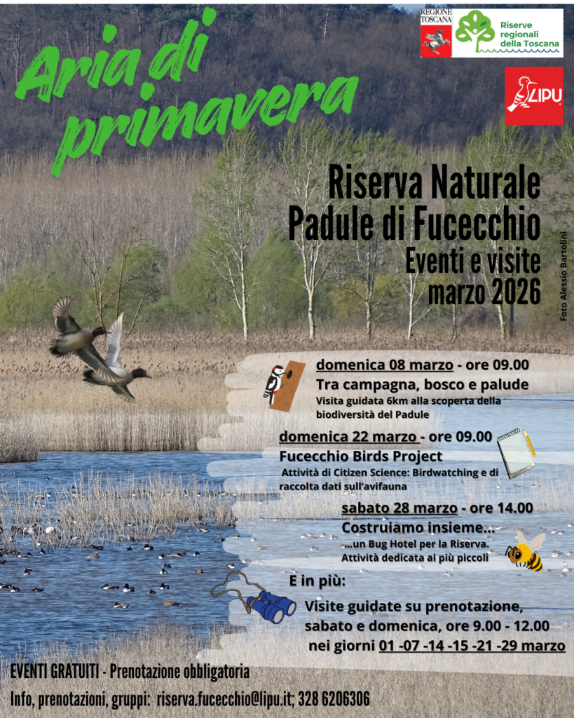 Aria di primavera. Eventi e visite marzo 2026