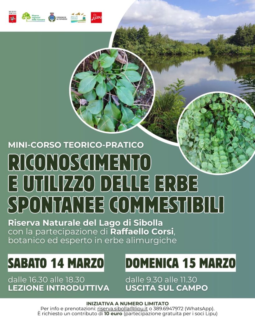 14-15 Marzo – Riconoscimento e utilizzo delle erbe spontanee riconoscibili – lezione e visita
