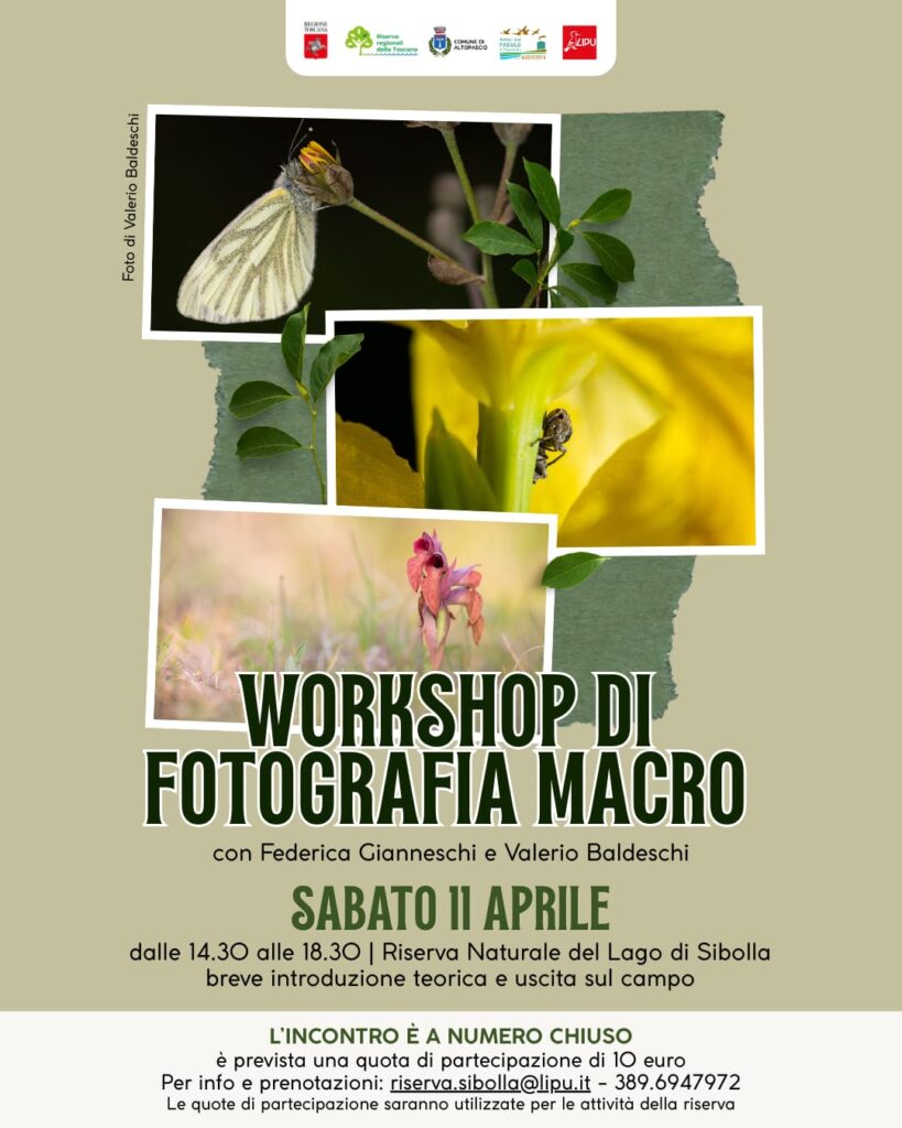 Workshop di fotografia macro – Sabato 11 aprile