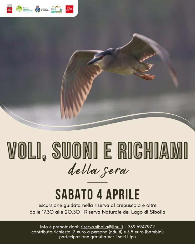 Sabato 4 aprile – Voli, suoni e richiami della sera