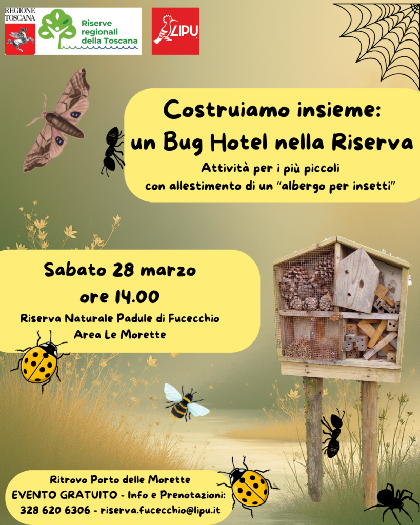 Un Bug Hotel nella Riserva