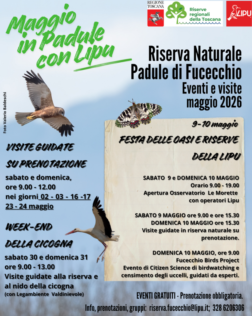 Maggio in Padule. Eventi e visite