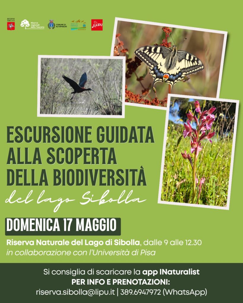 Escursione guidata alla scoperta della biodiversità del Lago di Sibolla – Domenica 17 maggio