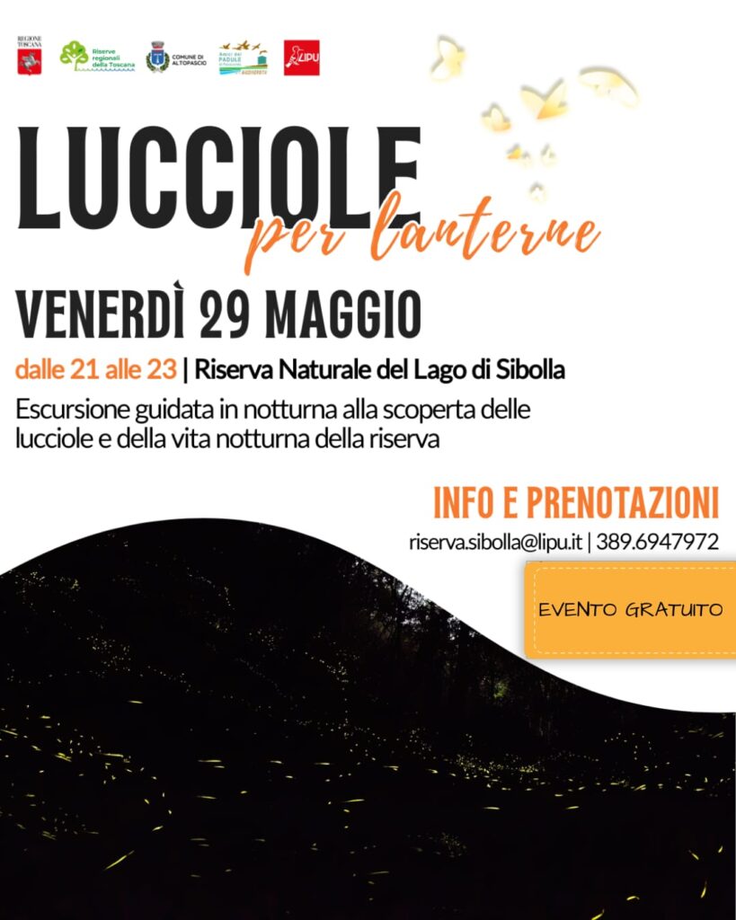 Lucciole per lanterne – Venerdì 29 maggio, ore 21