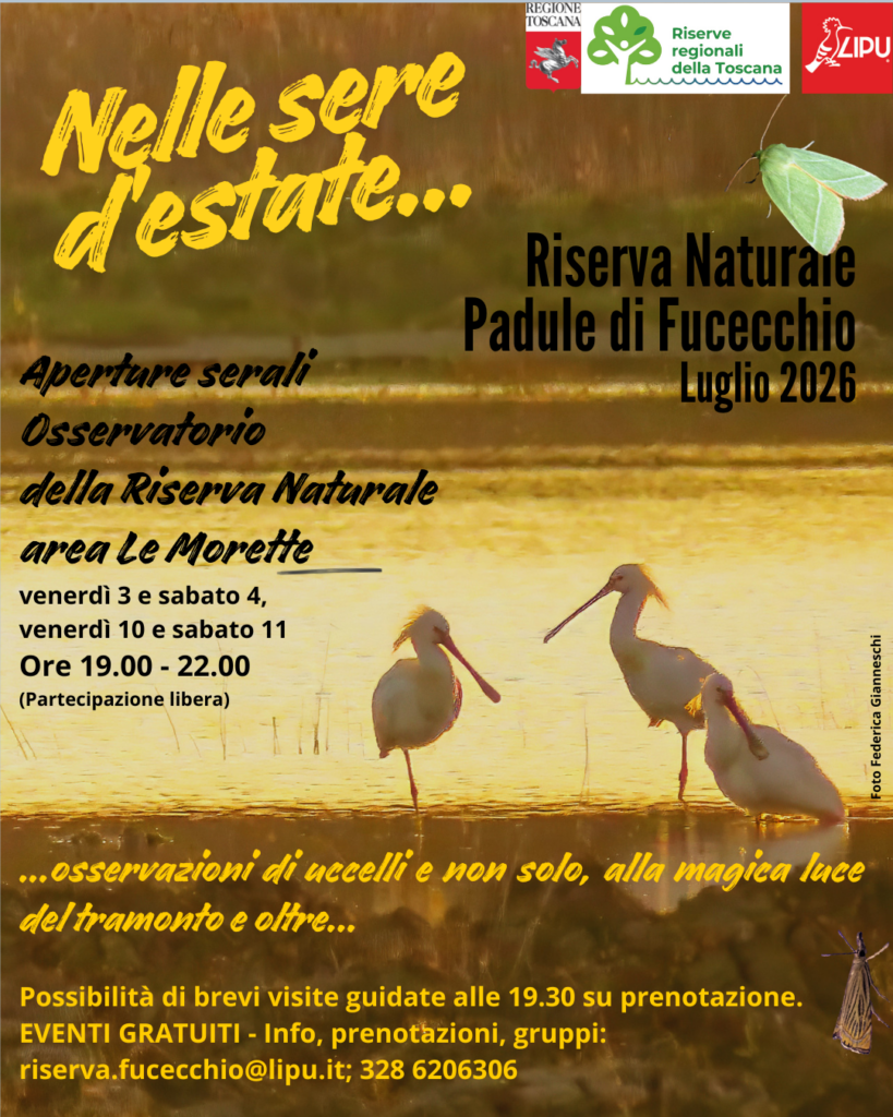 Nelle sere d’estate…
