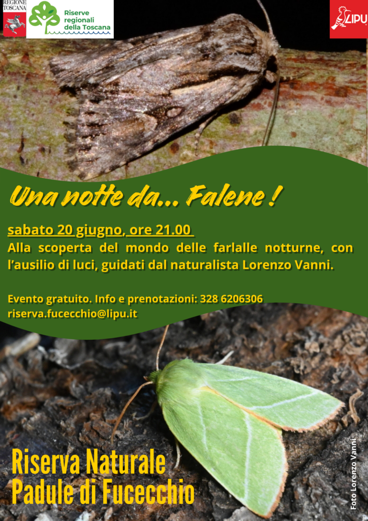 Una notte da… falene!