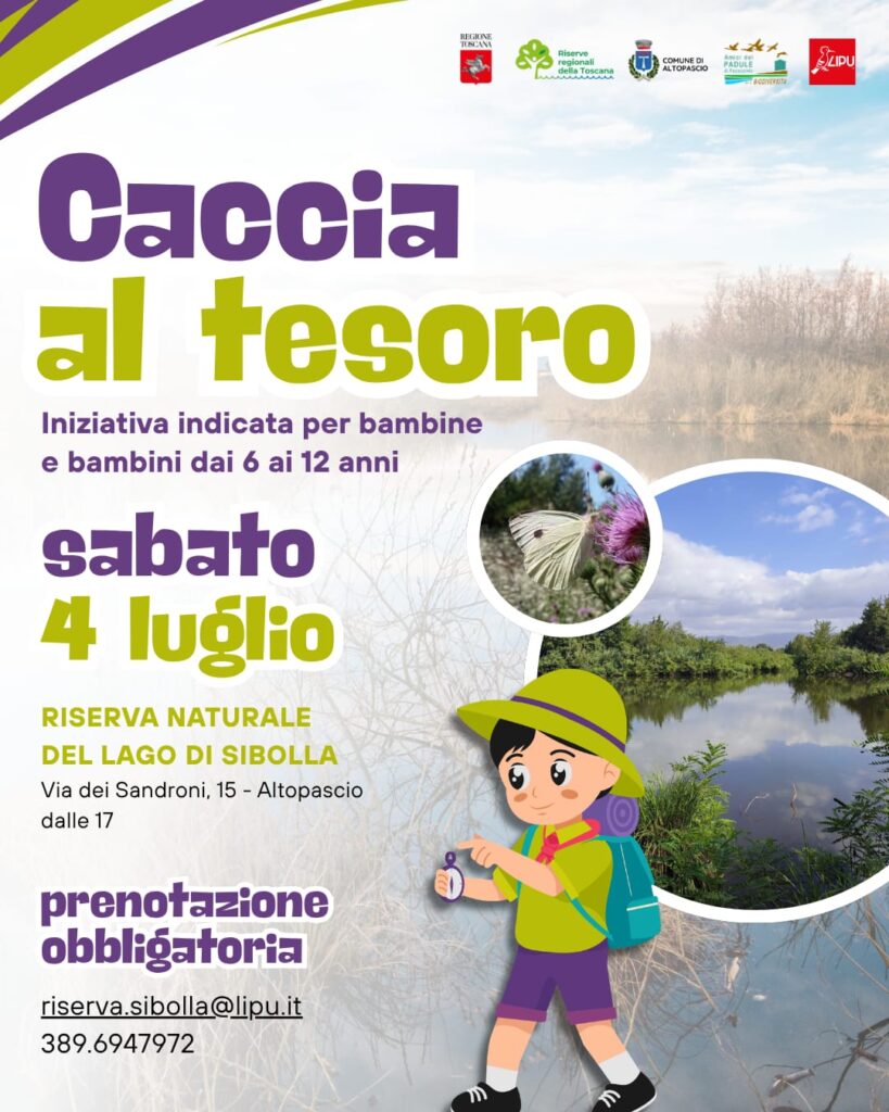 Caccia al tesoro – sabato 4 Luglio