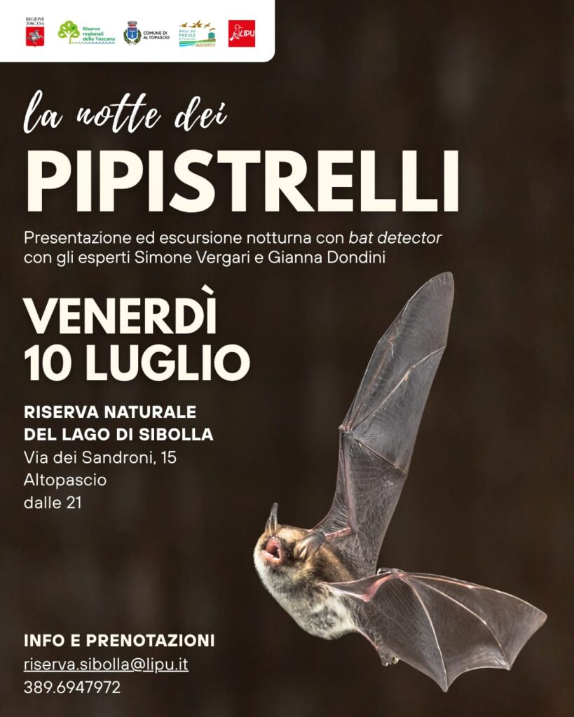 La notte dei pipistrelli – venerdì 10 Luglio