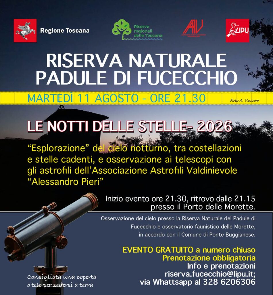 Le Notti delle stelle – 2026