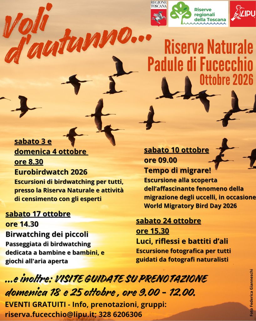 Voli d’autunno. Eventi e visite ottobre 2026