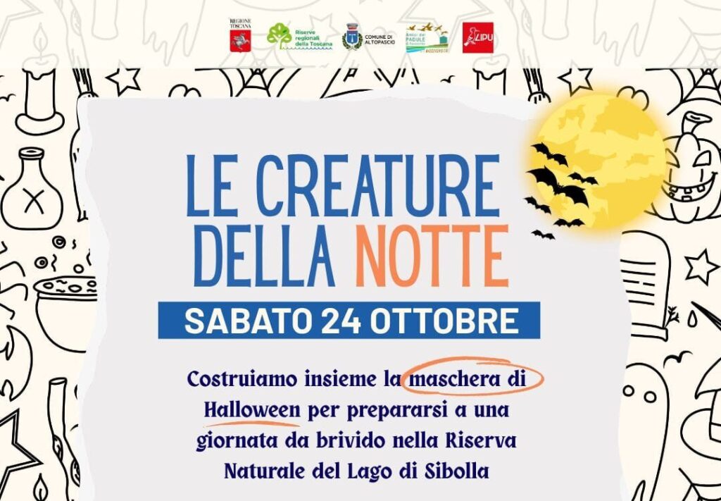 Le creature della notte – sabato 24 ottobre