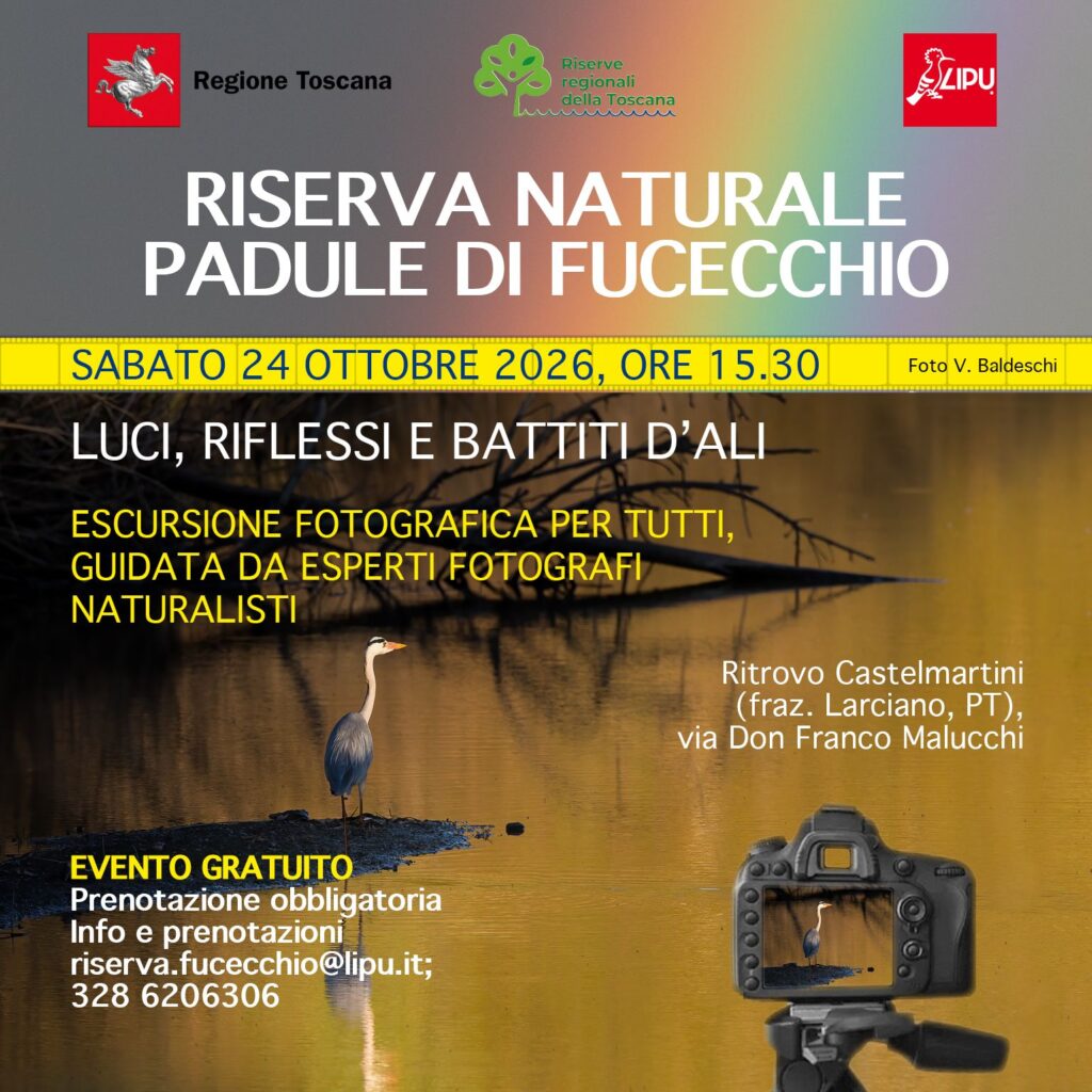 Luci, riflessi e battiti d’ali – Escursione fotografica
