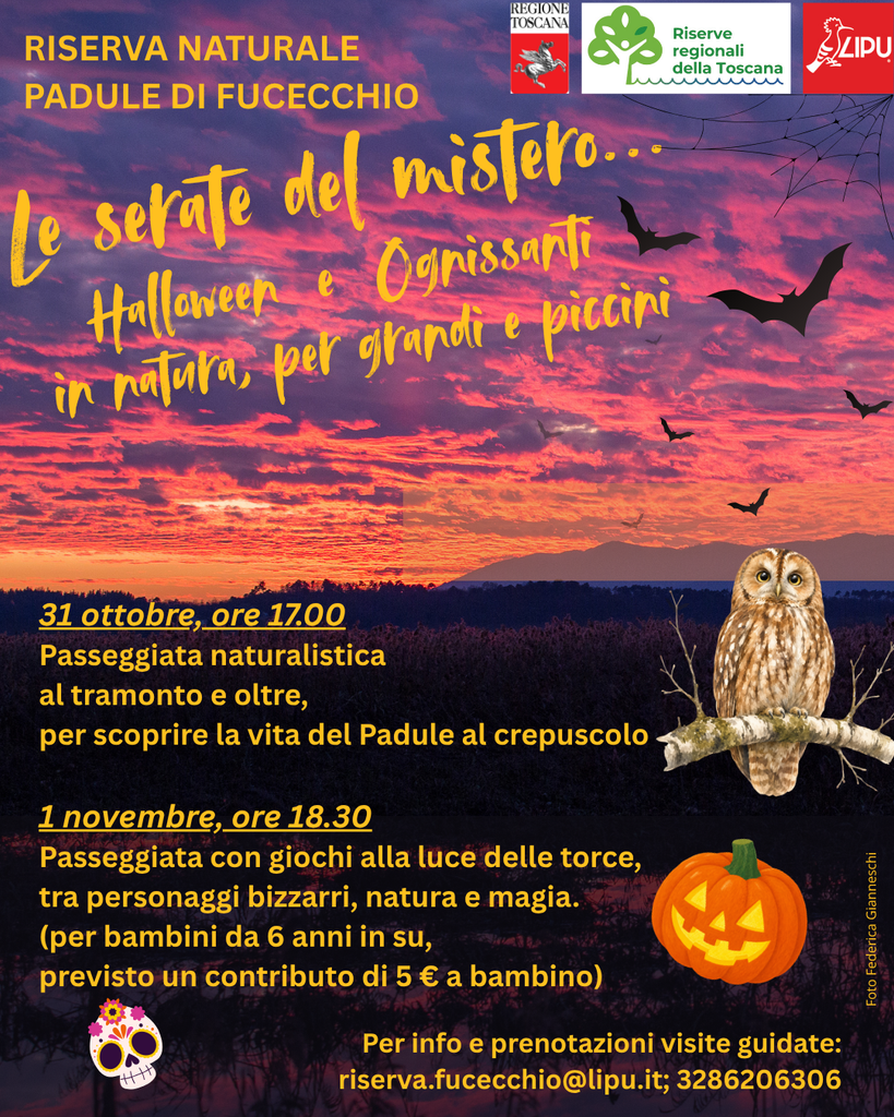 Le serate del mistero… Halloween e Ognissanti in natura